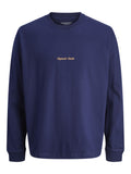 JACK JONES KIDS JORNORREBRO EMB TEE LS CREW NECK JNR