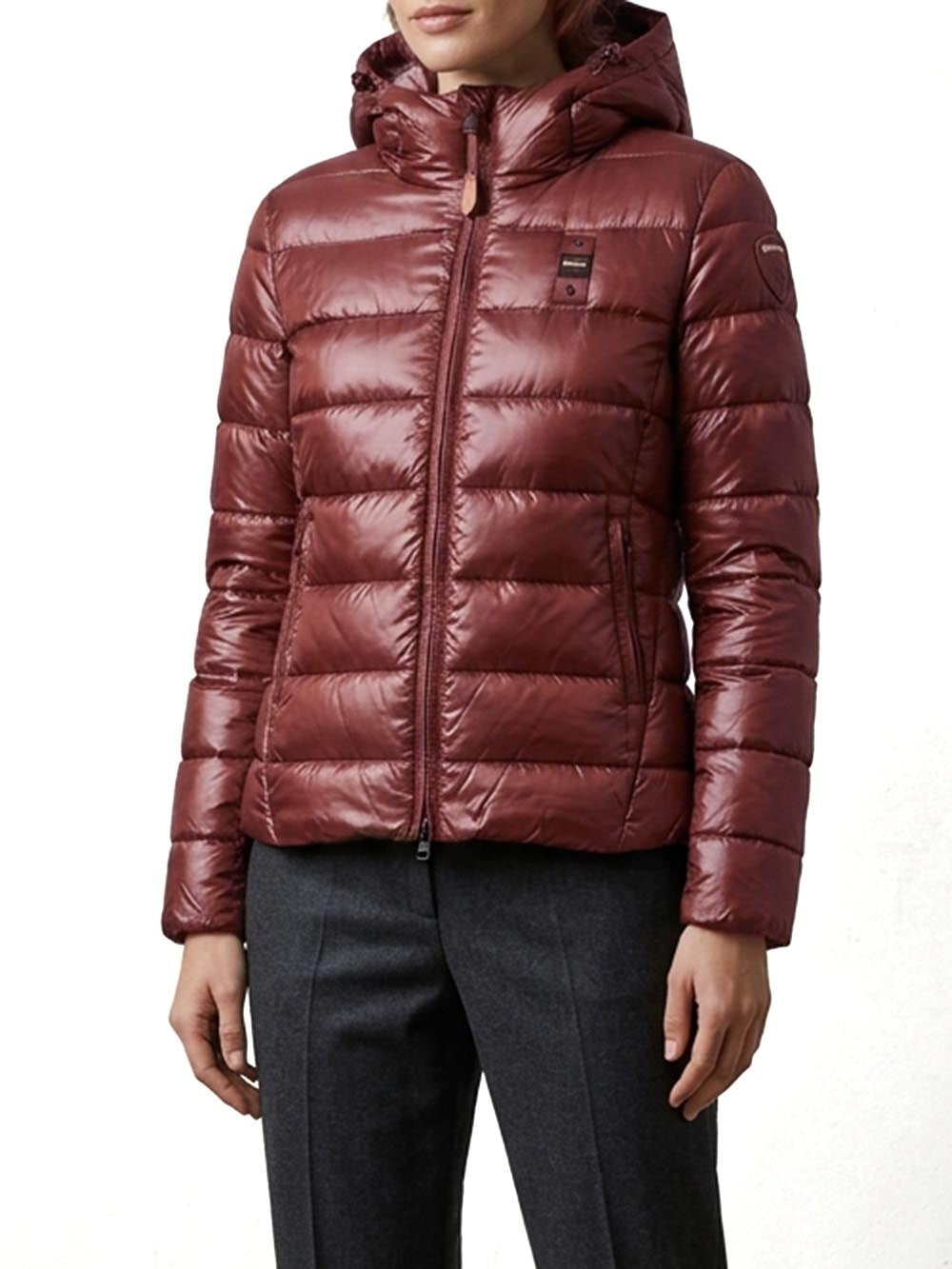 26WBLDC02070 006648/592BW BLAUER