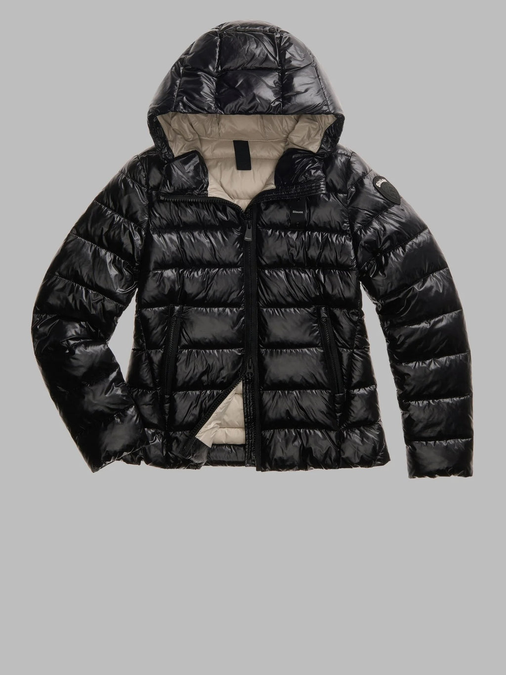 26WBLDC02070 006648/999EI BLAUER