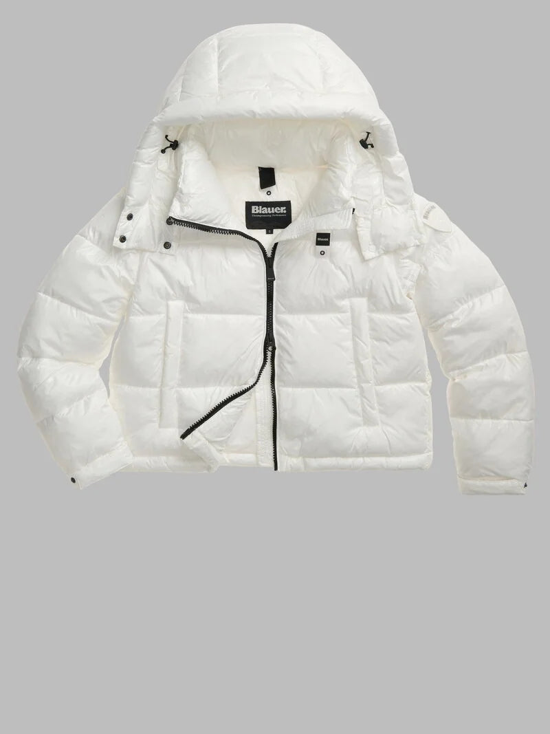 26WBLDC02071 006648/100BI BLAUER