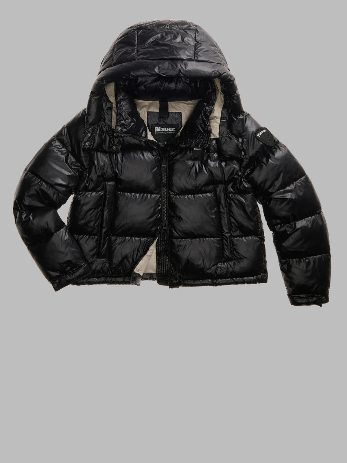 26WBLDC02071 006648/999EI BLAUER