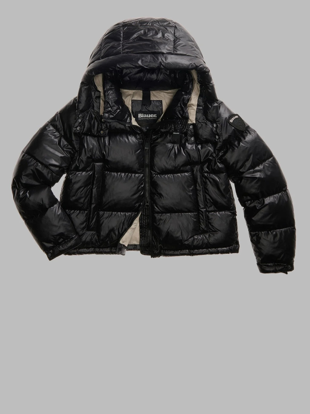 26WBLDC02071 006648/999EI BLAUER