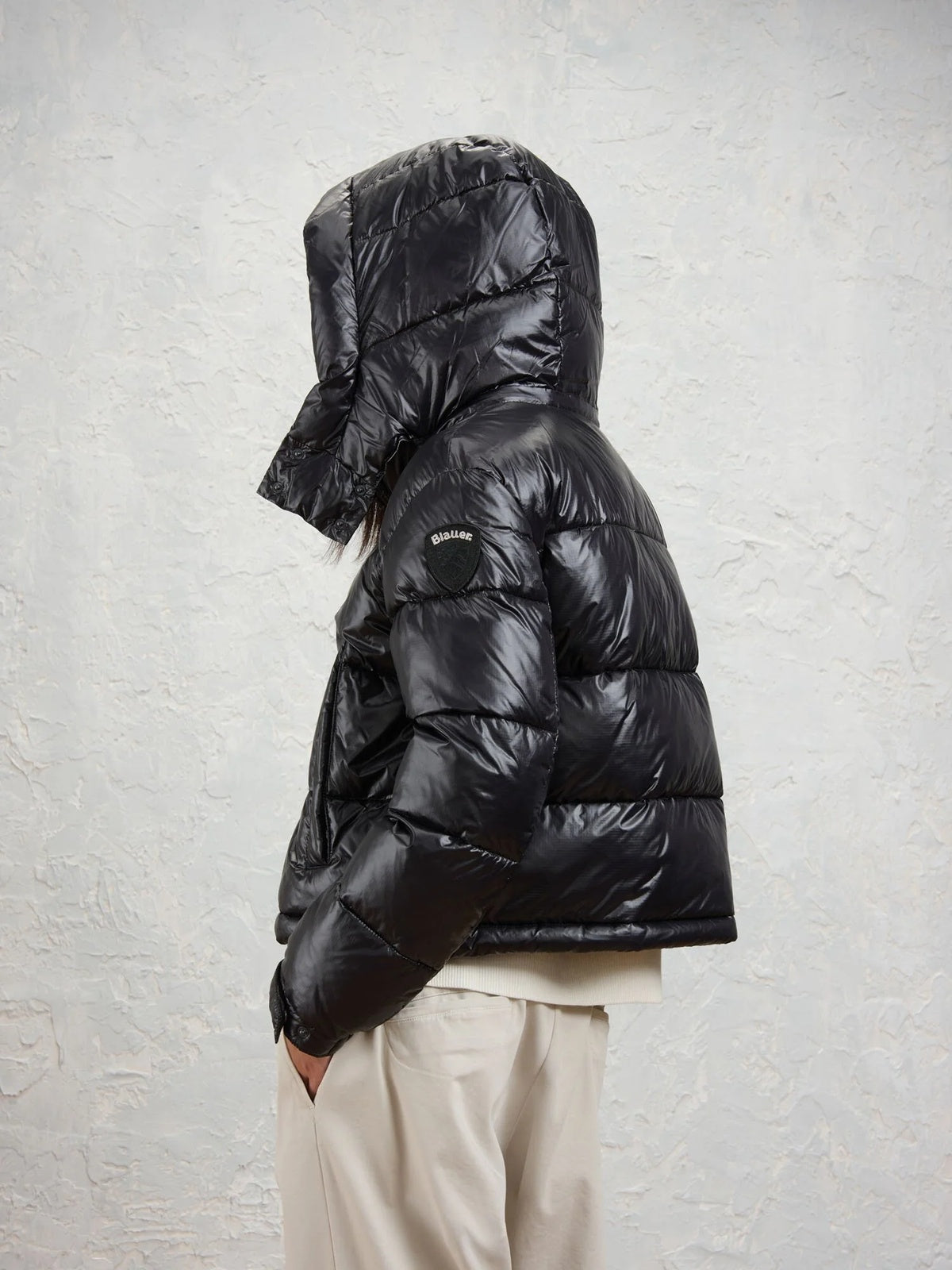 26WBLDC02071 006648/999EI BLAUER