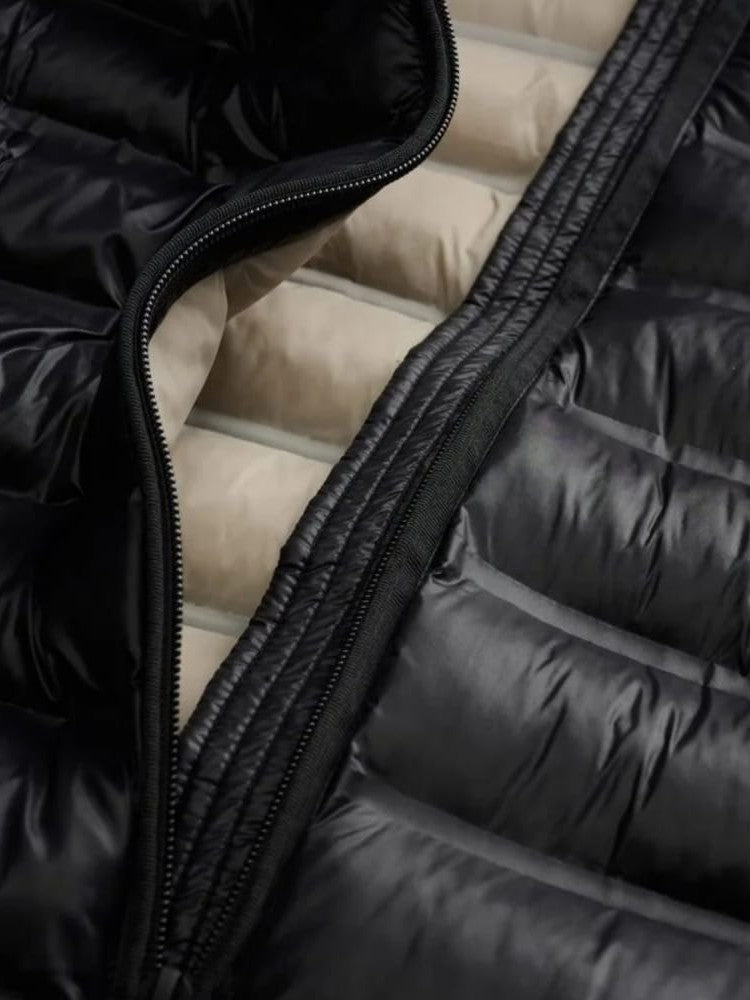 26WBLDC02221 007284/999EB BLAUER