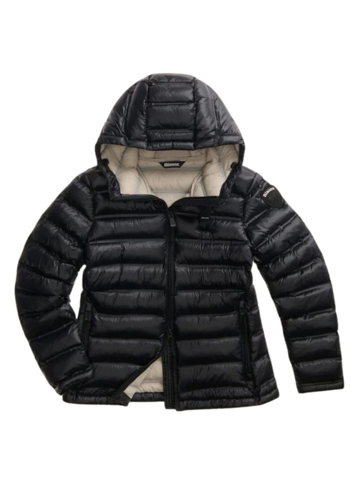 26WBLDC02221 007284/999EB BLAUER