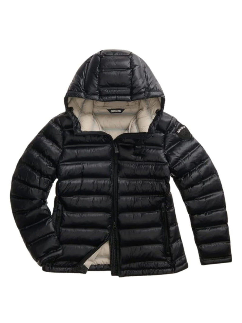 26WBLDC02221 007284/999EB BLAUER