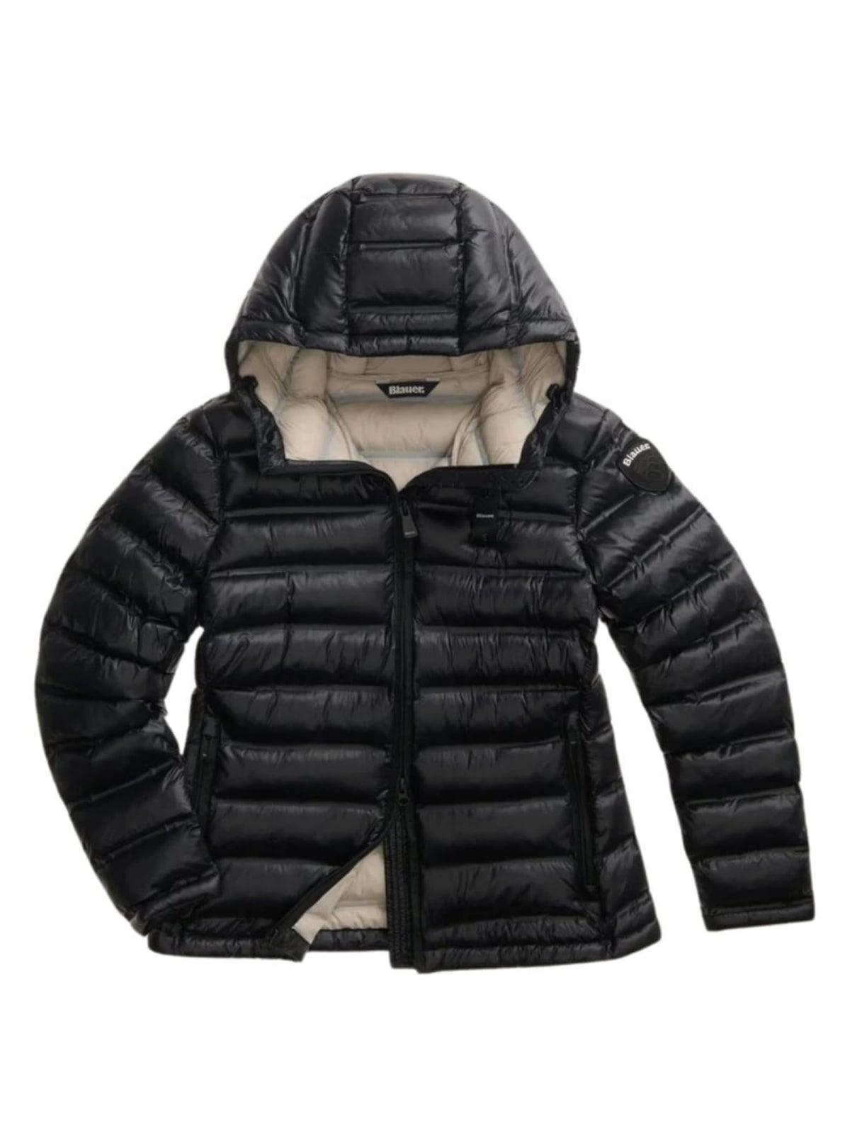 26WBLDC02221 007284/999EB BLAUER