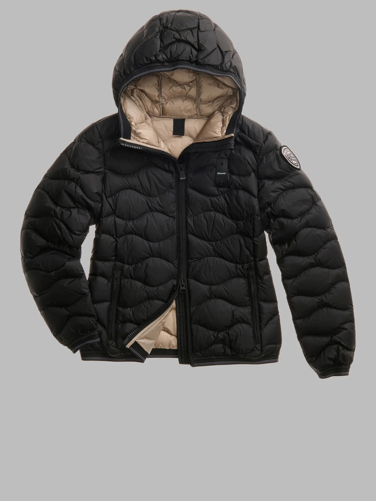 26WBLDC03033 006047/999EI BLAUER