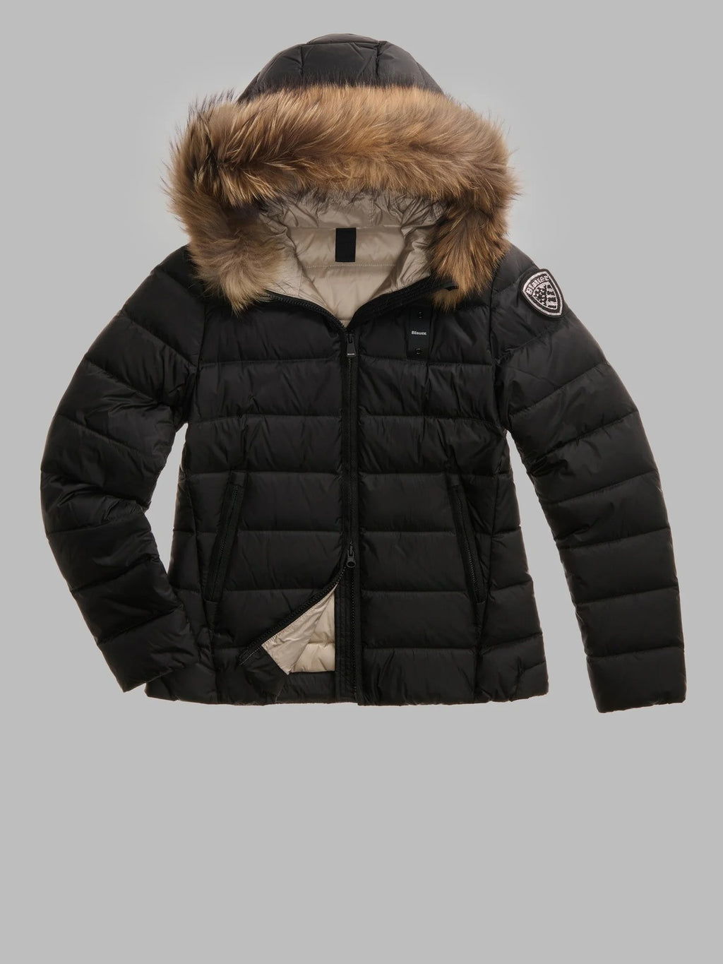 26WBLDC03038 006047/999EI BLAUER