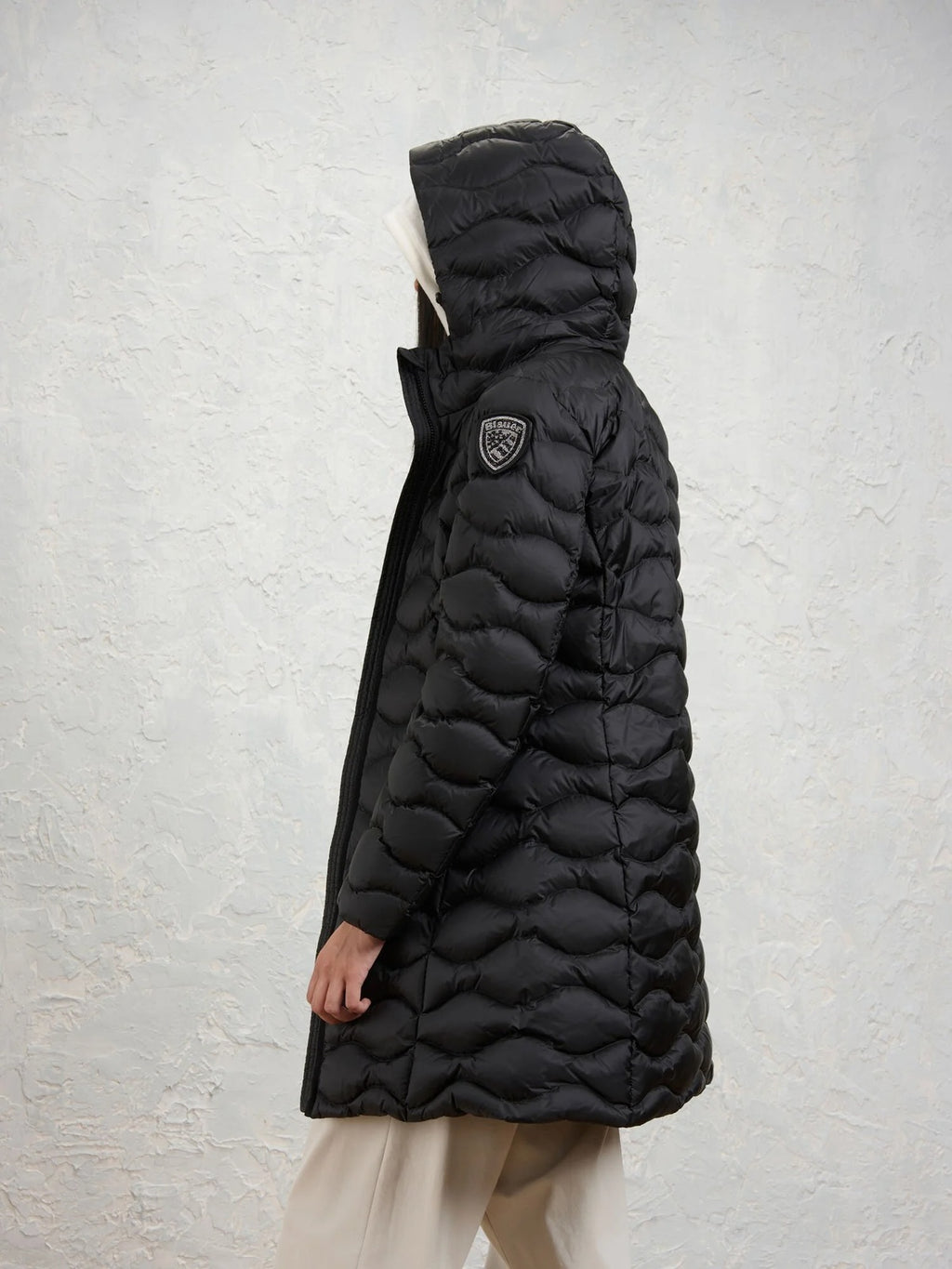 26WBLDK03035 006047/999EI BLAUER