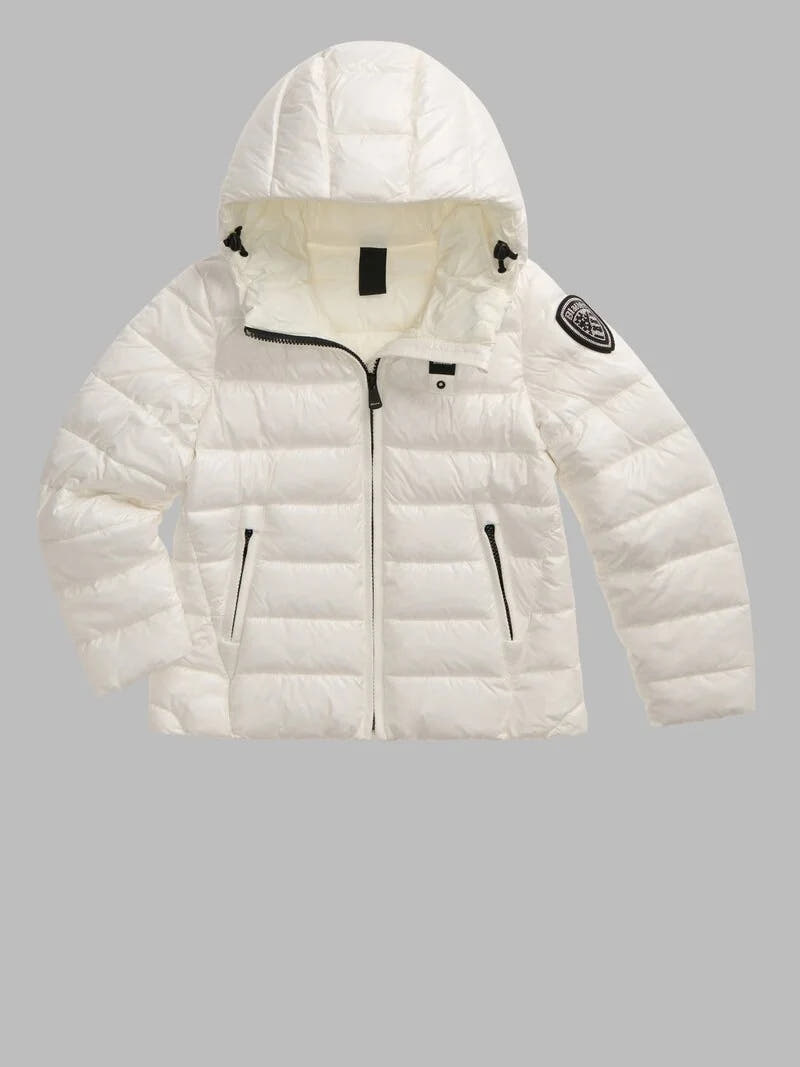 26WBLGC02295 006648/102IV BLAUER