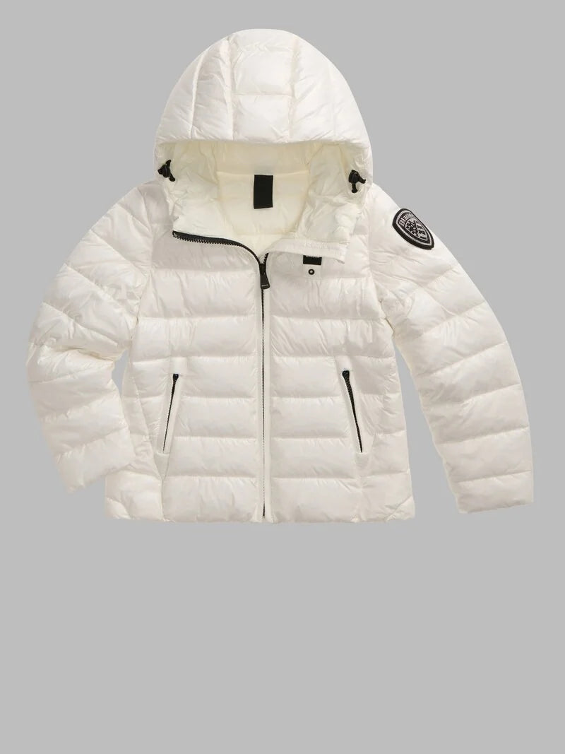 26WBLGC02295 006648/102IV BLAUER