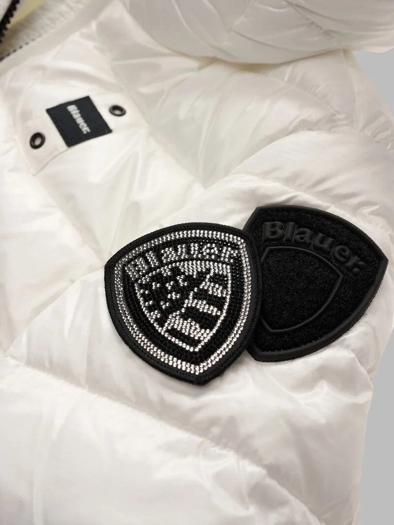 26WBLGC02295 006648/102IV BLAUER