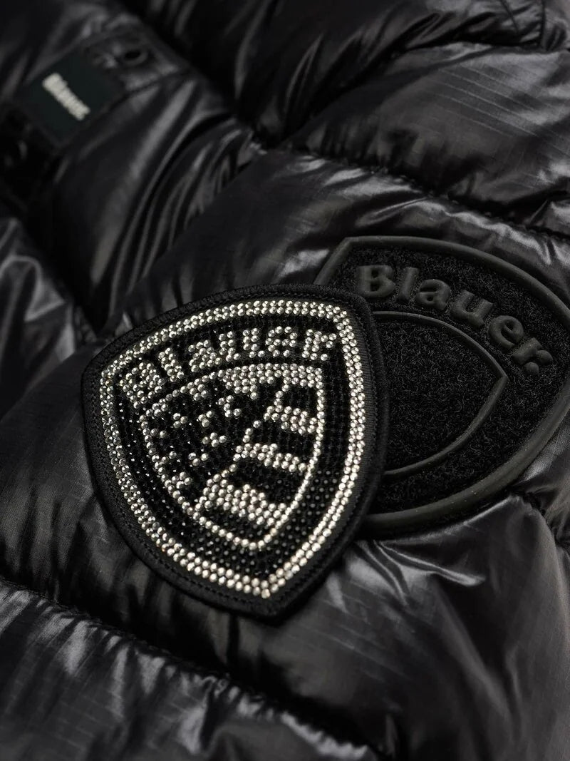 26WBLGC02295 006648/999EI BLAUER