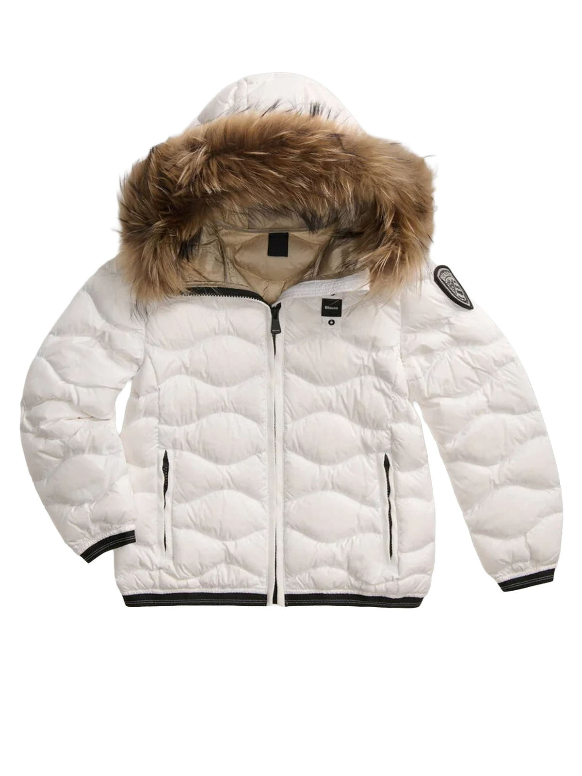 26WBLGC03288 007455/100EB BLAUER