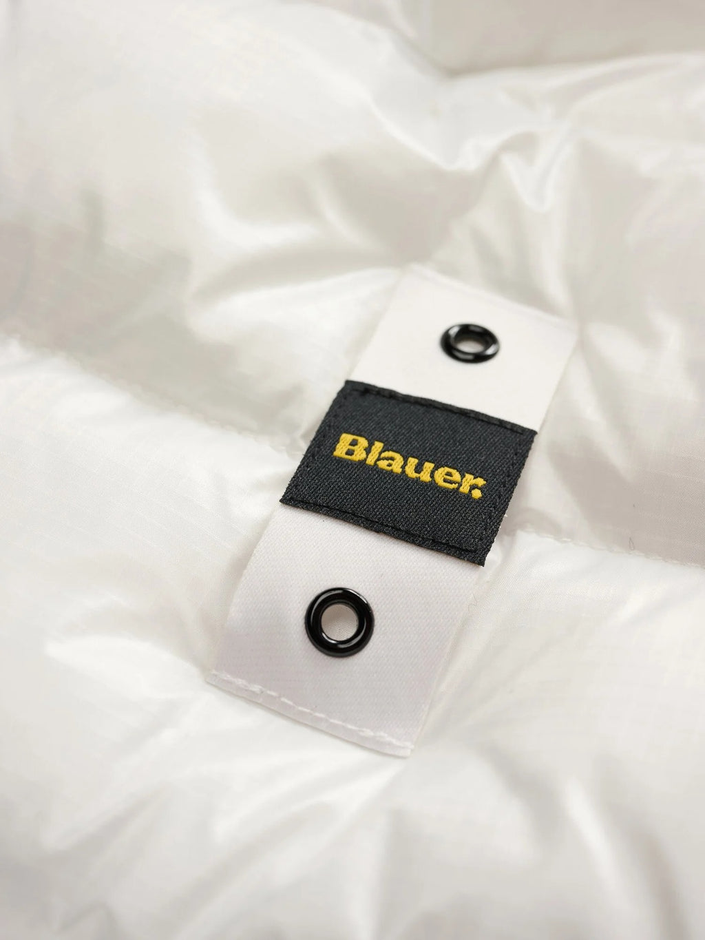 26WBLUC02054 005958/100EI BLAUER
