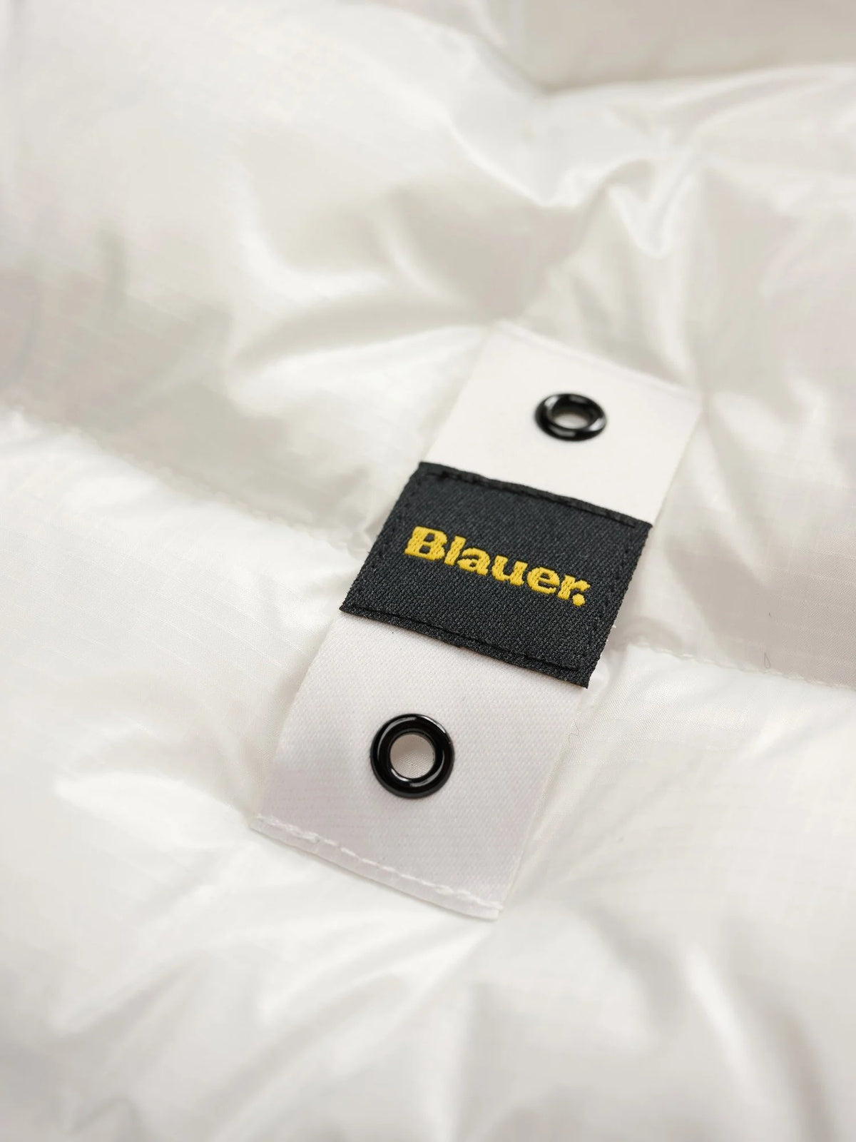 26WBLUC02054 005958/100EI BLAUER
