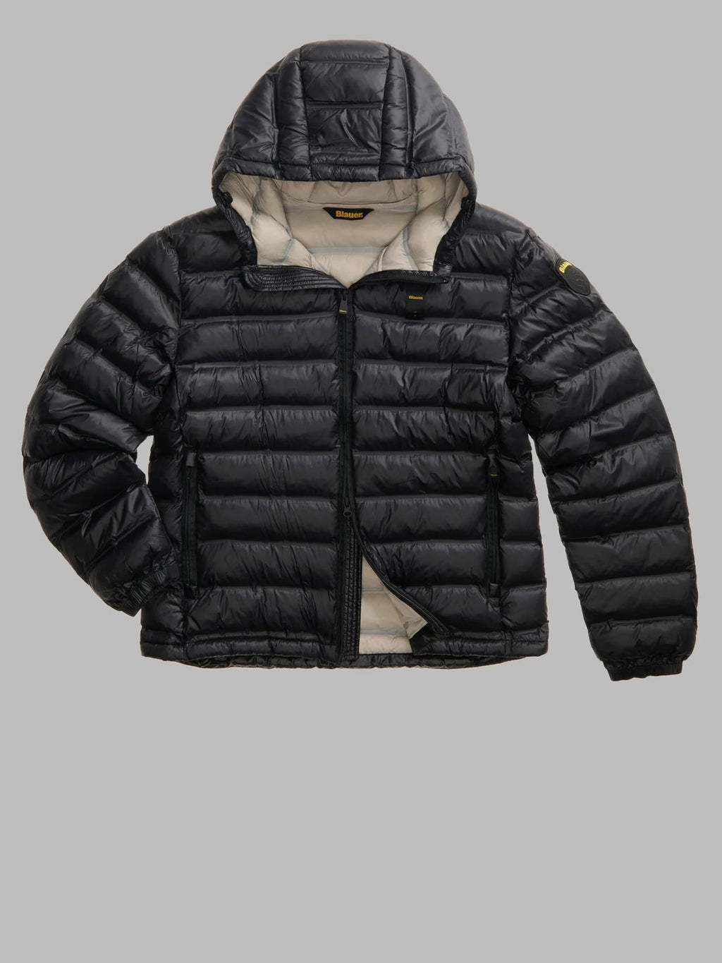 26WBLUC02218 007284/999EB BLAUER