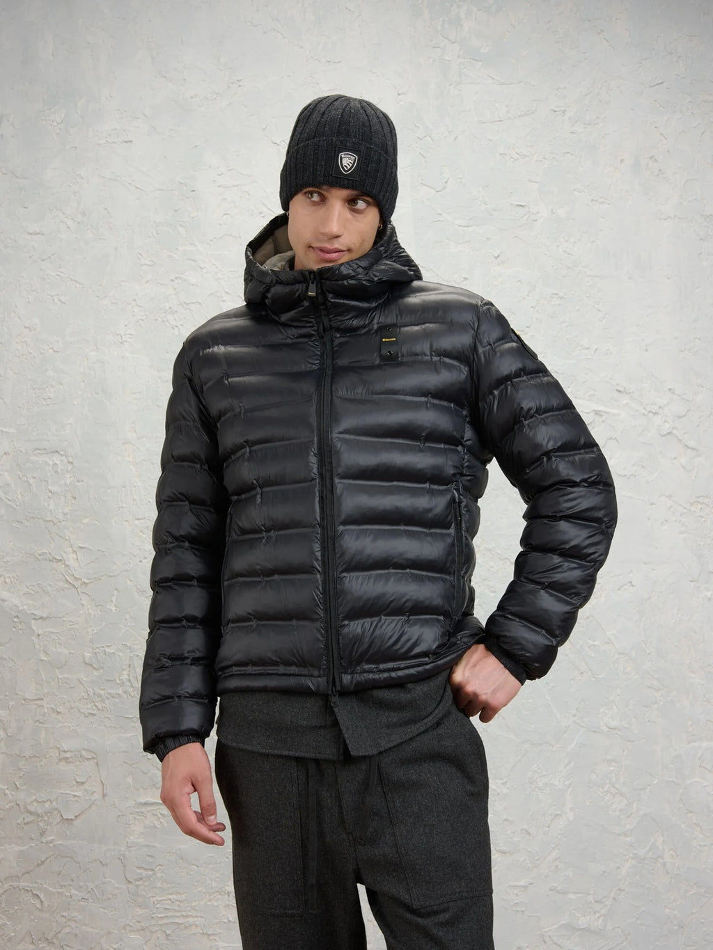 26WBLUC02218 007284/999EB BLAUER