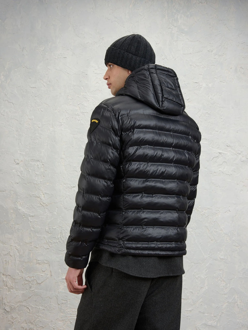 26WBLUC02218 007284/999EB BLAUER