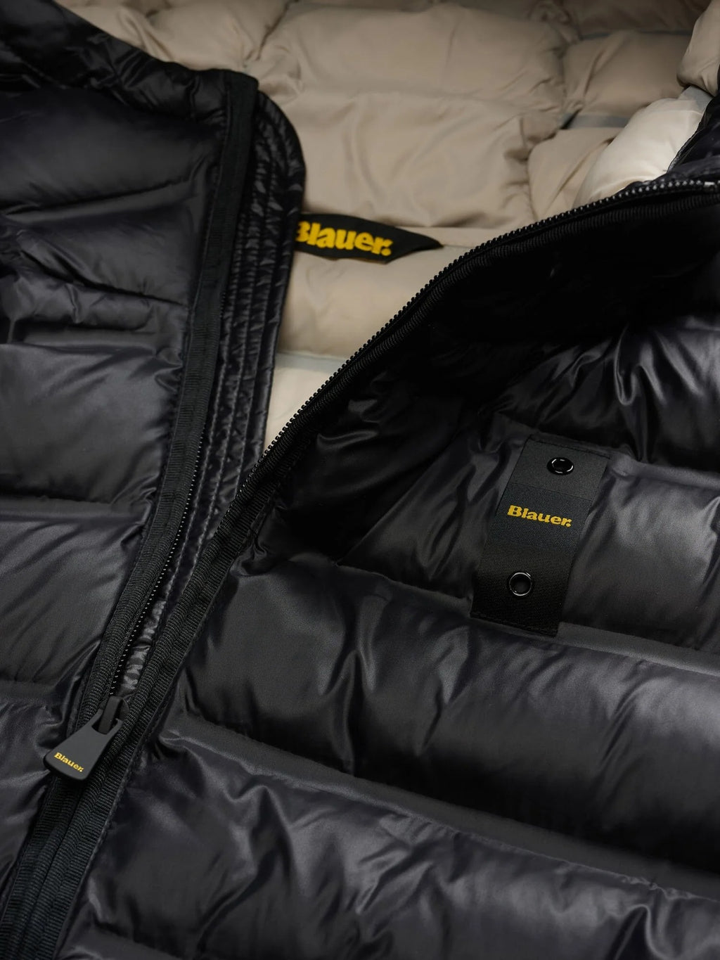 26WBLUC02218 007284/999EB BLAUER