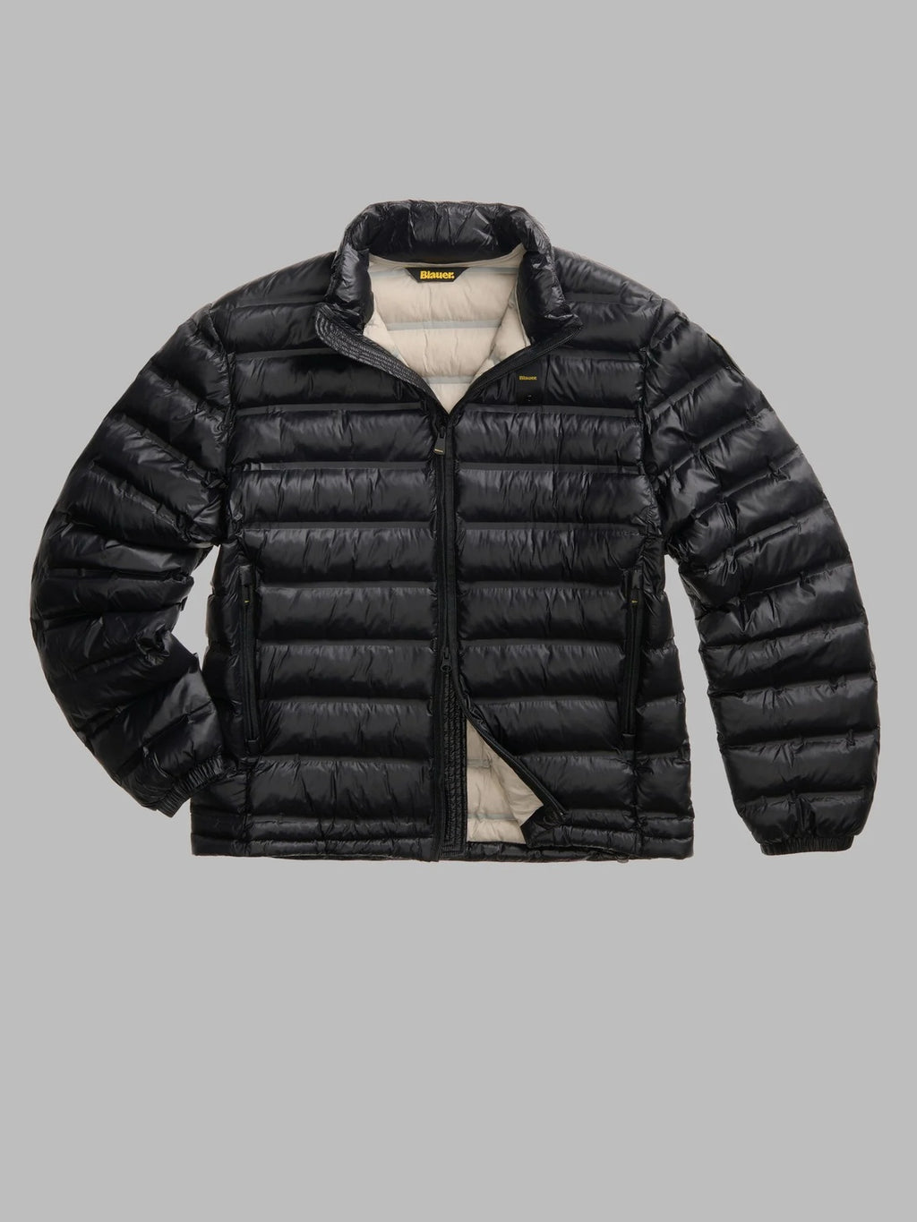 26WBLUC02219 007284/999EB BLAUER