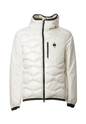 BLAUER ALBERT