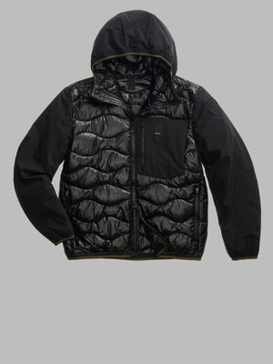 BLAUER ALBERT