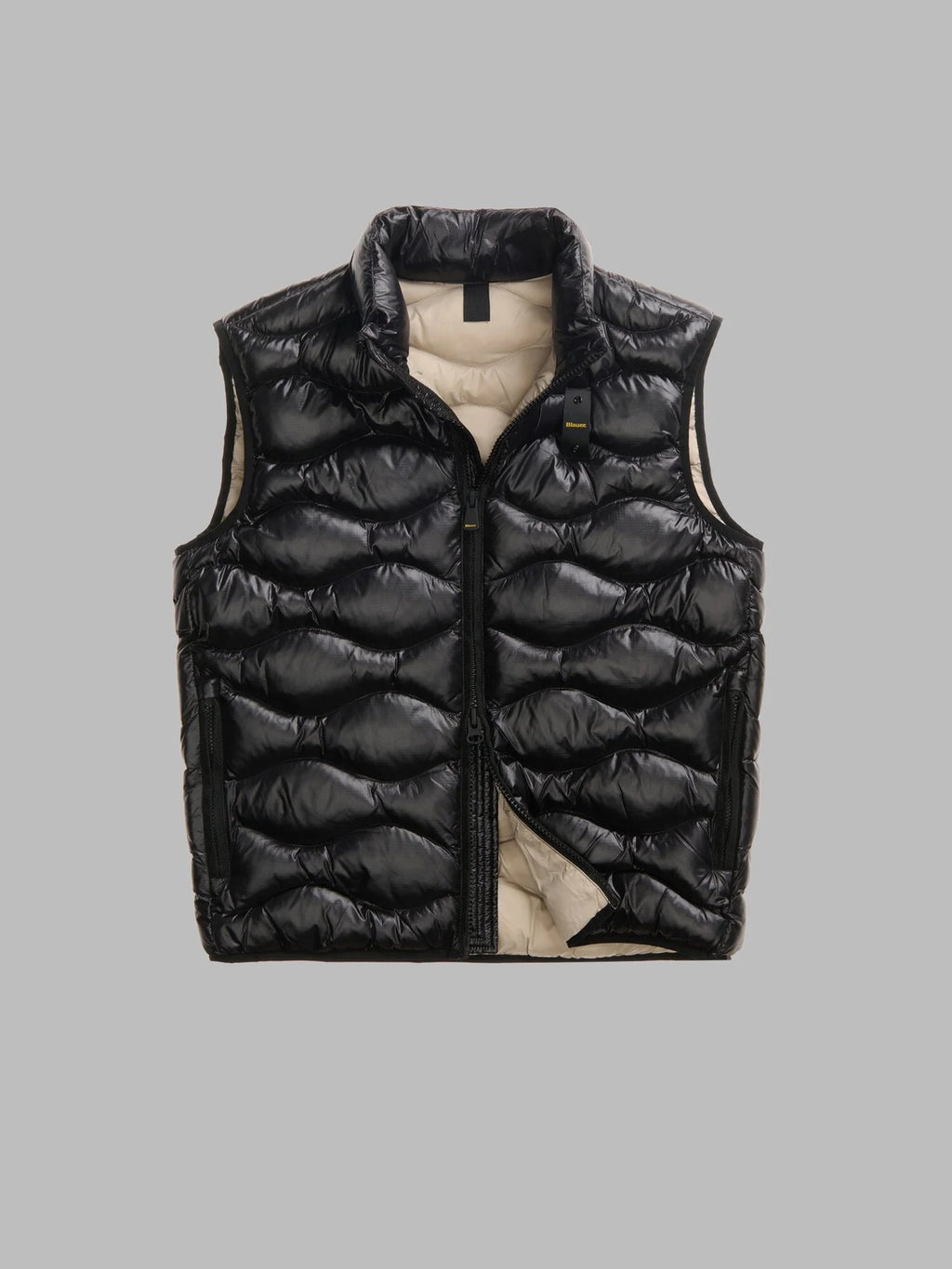 26WBLUX02055 005958/999EI BLAUER