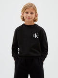 CALVIN KLEIN SMALL CHEST MONOLOGO LS T-SHIR
