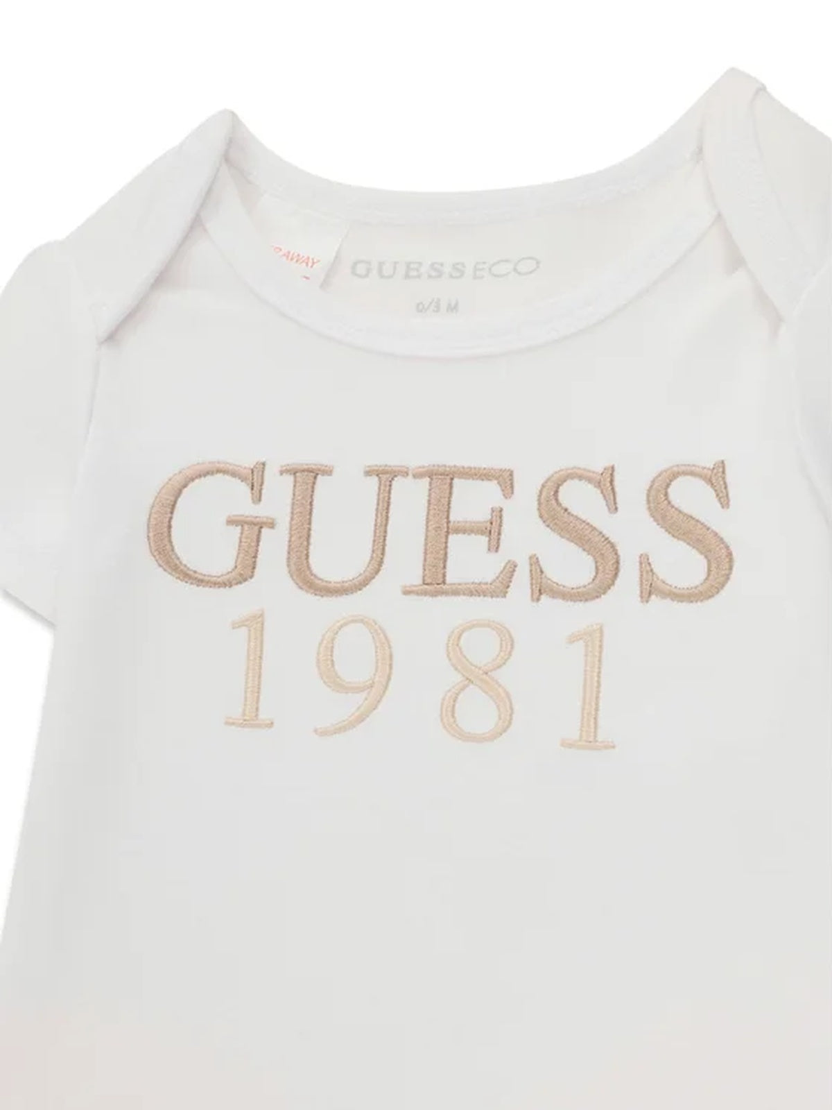 H6BG06K6016/FNON GUESS