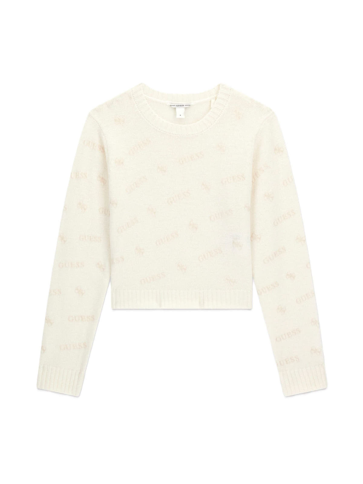 J6BR11Z1345/FNO9 GUESS
