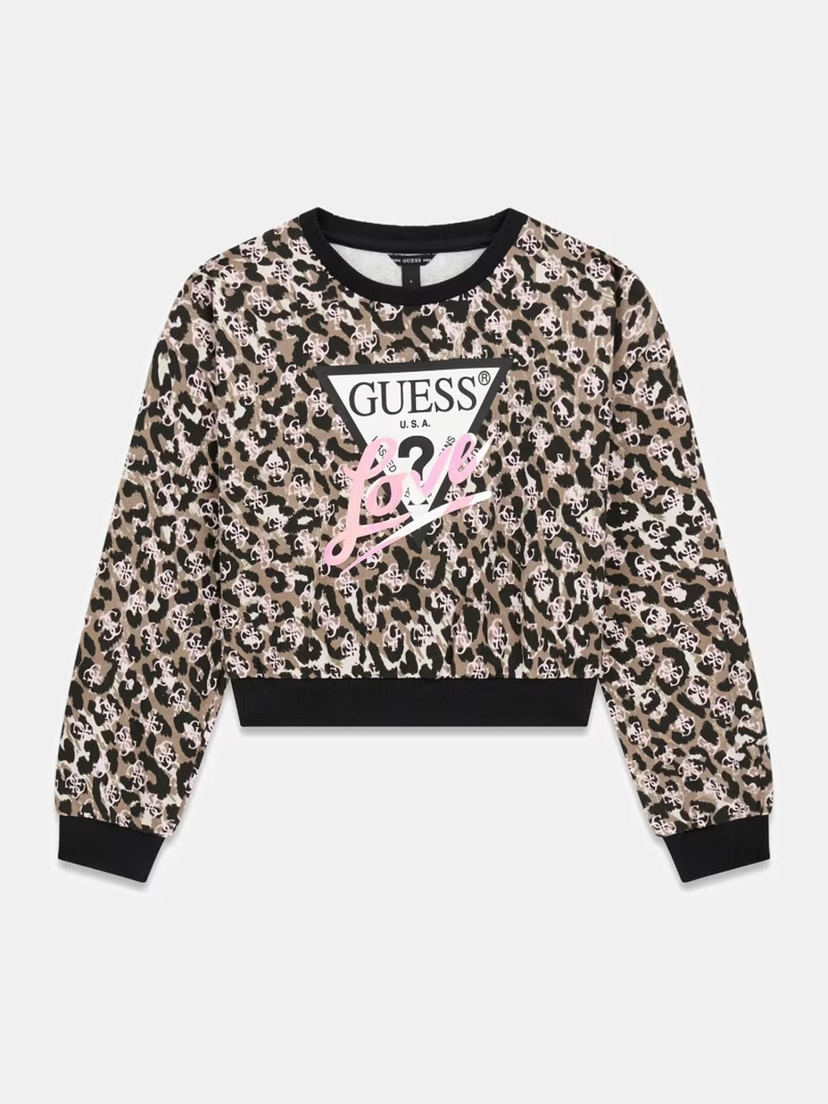 J6YQ04K3897/PMMX GUESS