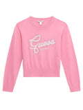 GUESS LS SWEATER