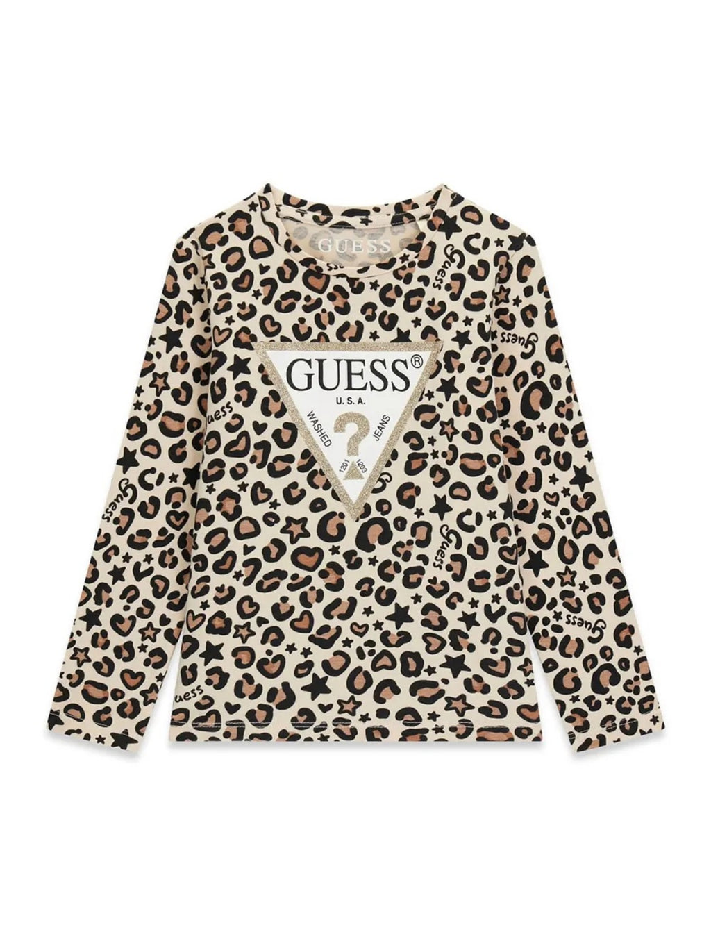K6BI07K5805/PMTU GUESS