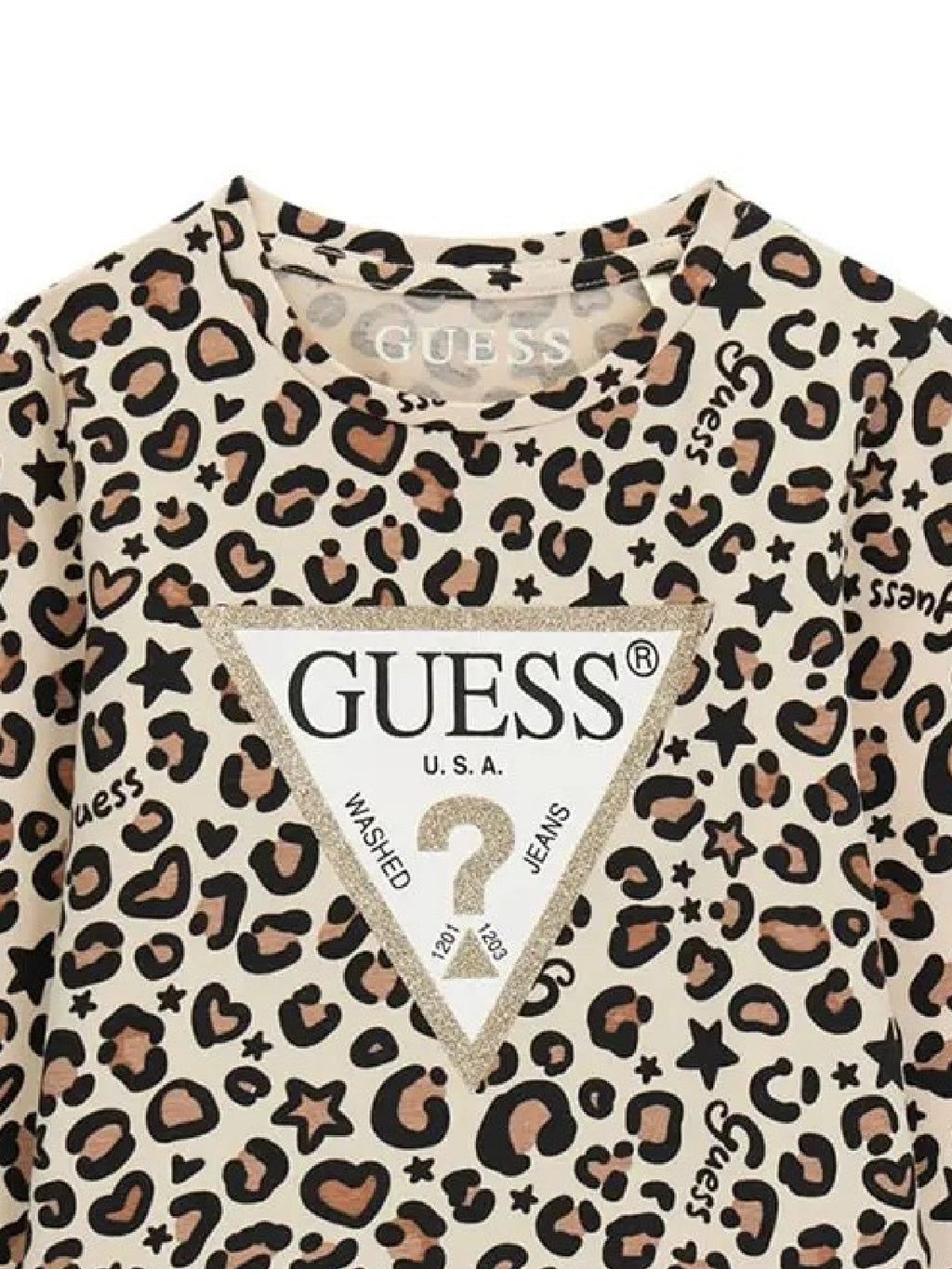 K6BI07K5805/PMTU GUESS