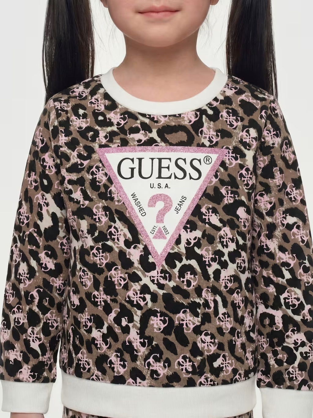 K6YQ04K3845/PMMX GUESS