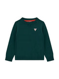 GUESS LS SWEATER_CORE