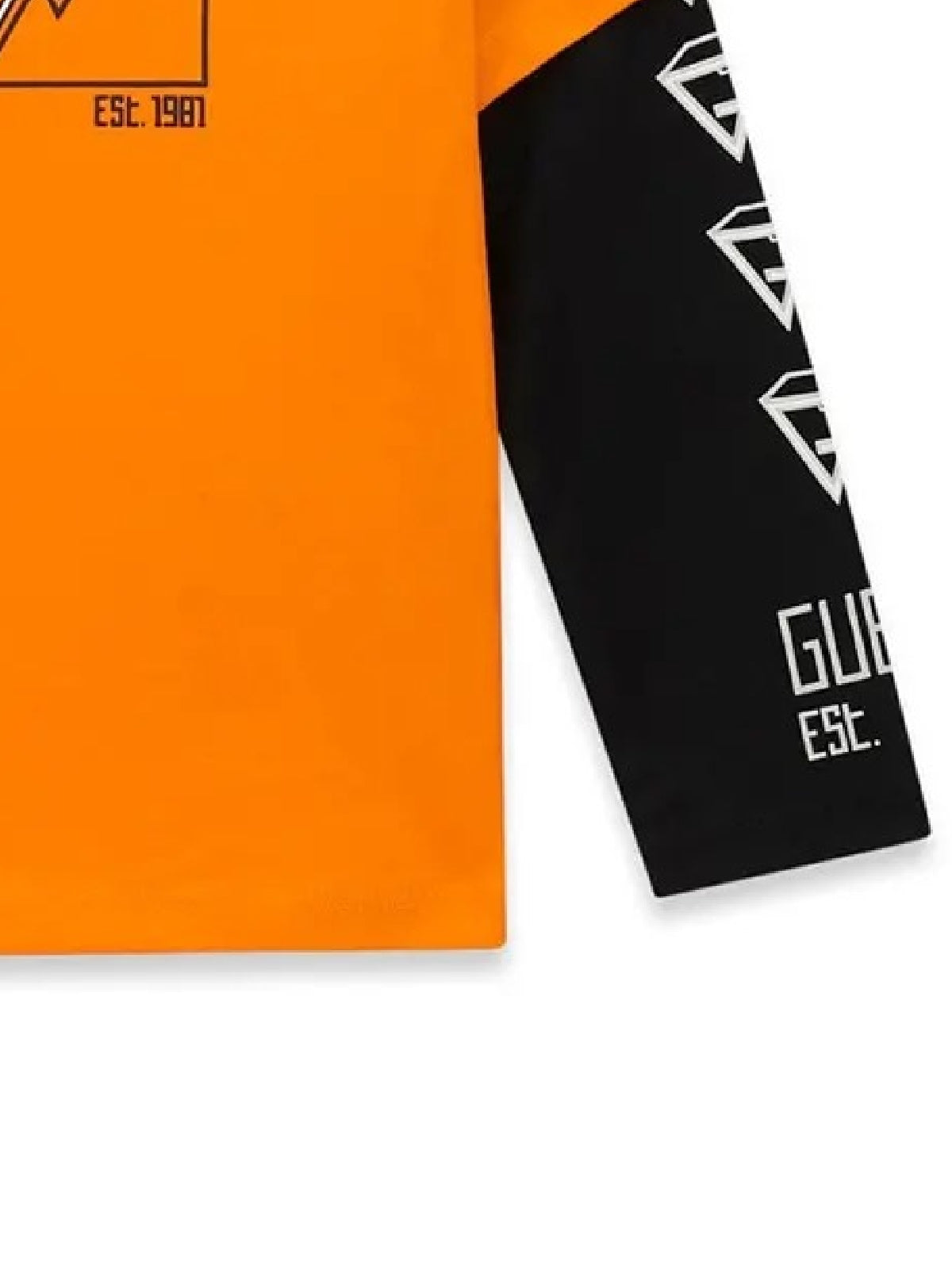 N6BI15K5867/G369 GUESS