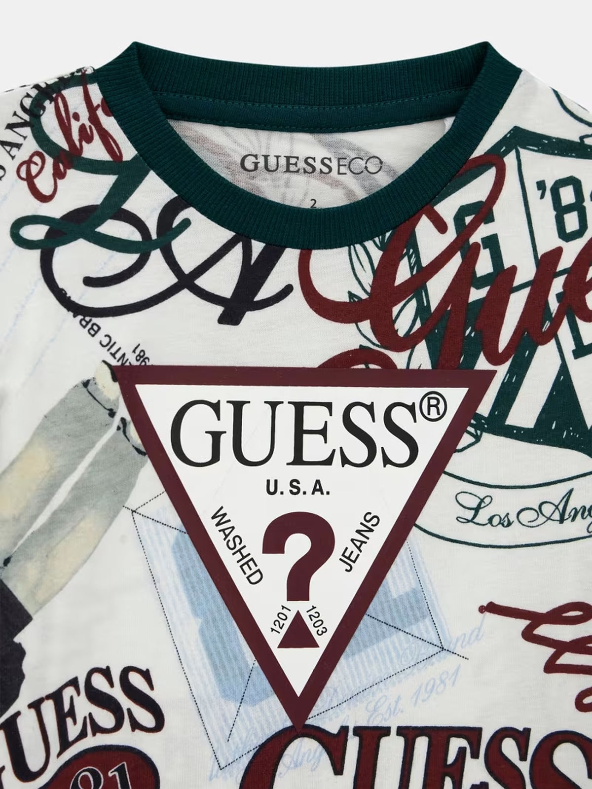 N6YG02K4077/PMNO GUESS