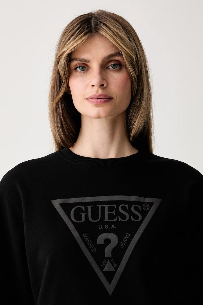 W6YQ04K3858/JBLK GUESS
