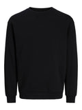 JACK AND JONES JJEBRADLEY SWEAT CREW NOOS