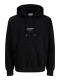 JACK AND JONES JJESOHO SWEAT HOOD NOOS
