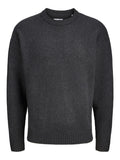 JACK AND JONES JJESOHO OLLIE KNIT CREW NECK SN