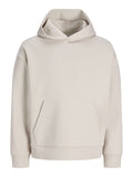 JACK AND JONES JJEBARRON SWEAT HOOD NOOS