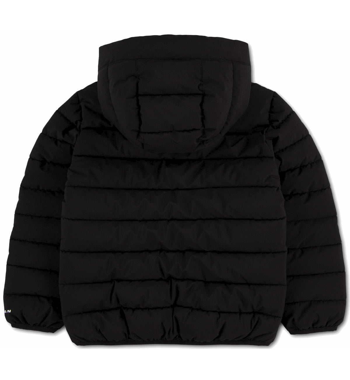 JDN MIDWEIGHT PUFFER W/ PIPING 