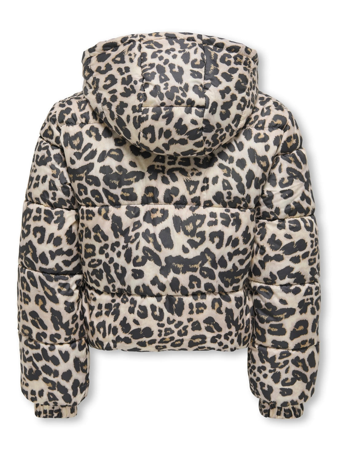 15354755/Silver Mink Leo ONLY KIDS