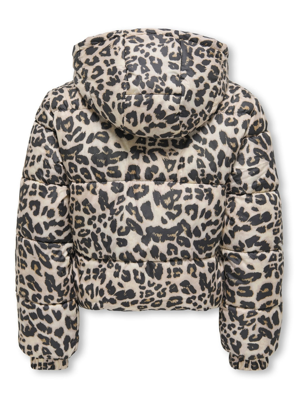 15354755/Silver Mink Leo ONLY KIDS