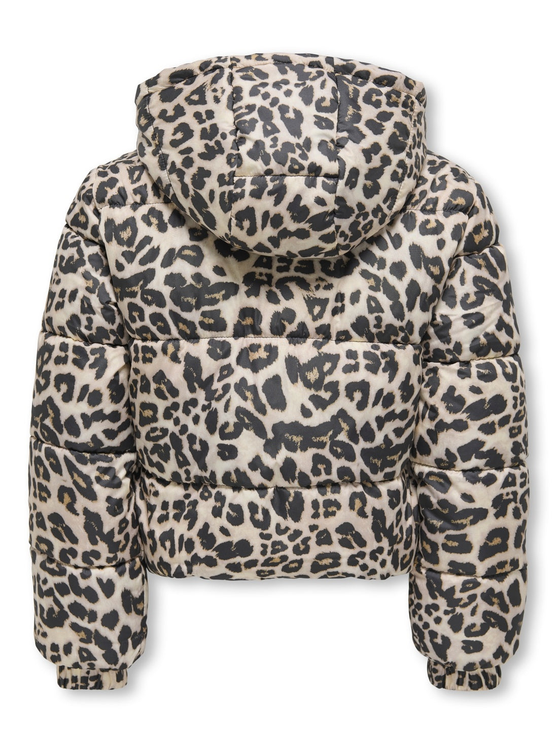 15354755/Silver Mink Leo ONLY KIDS