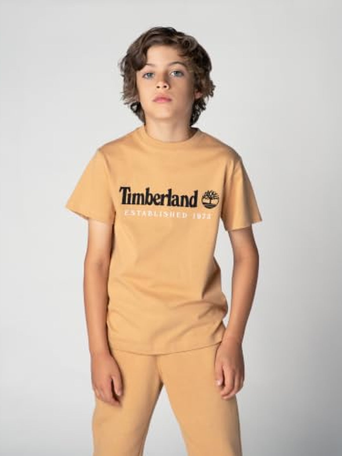 T60968/230 TIMBERLAND